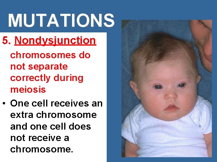 MUTATIONS 5. Nondysjunction chromosomes do not separate correctly during meiosis • One cell receives