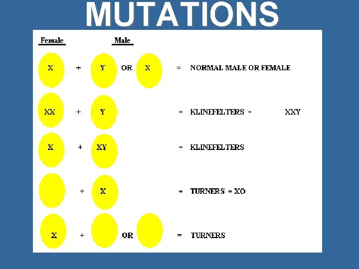 MUTATIONS 