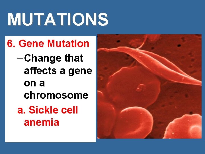 MUTATIONS 6. Gene Mutation – Change that affects a gene on a chromosome a.