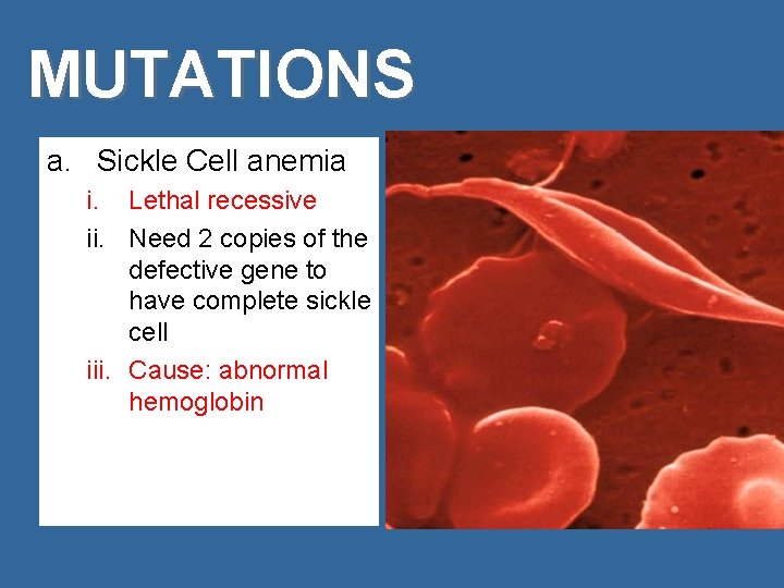 MUTATIONS a. Sickle Cell anemia i. Lethal recessive ii. Need 2 copies of the