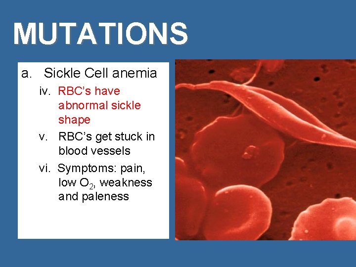 MUTATIONS a. Sickle Cell anemia iv. RBC’s have abnormal sickle shape v. RBC’s get