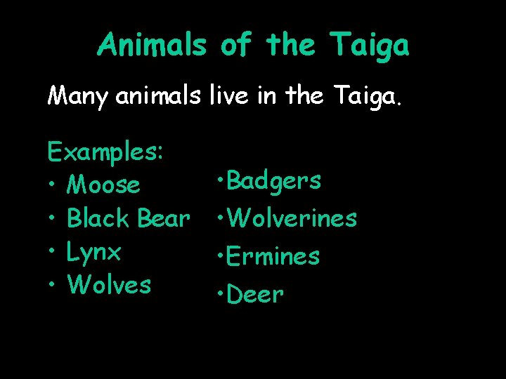 Animals of the Taiga Many animals live in the Taiga. Examples: • Moose •