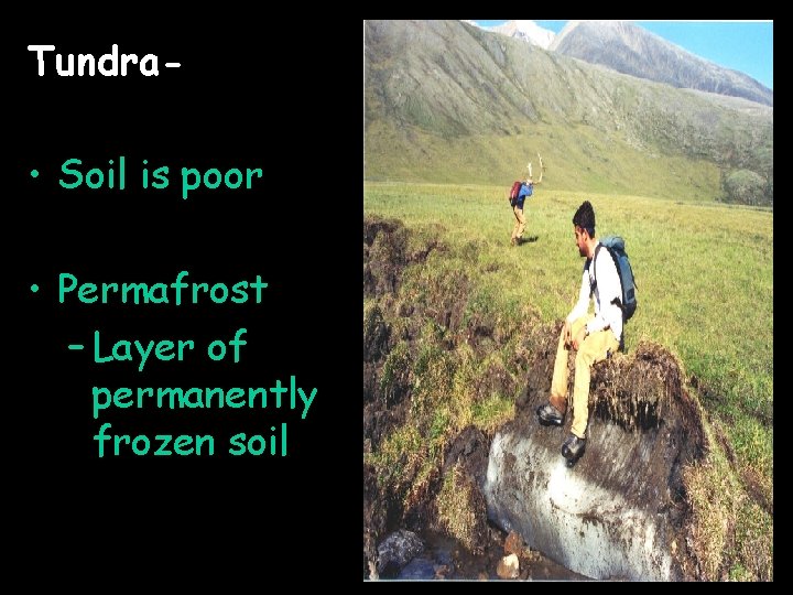 Tundra- • Soil is poor • Permafrost – Layer of permanently frozen soil 