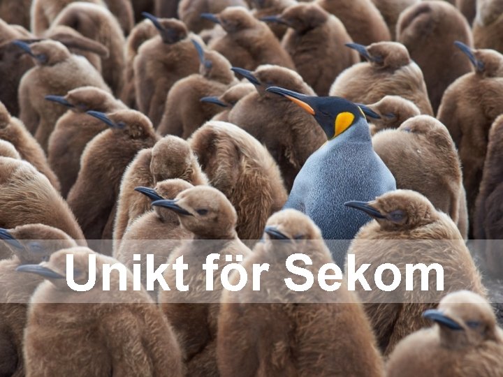 Unikt för Sekom Unikt för Sekom