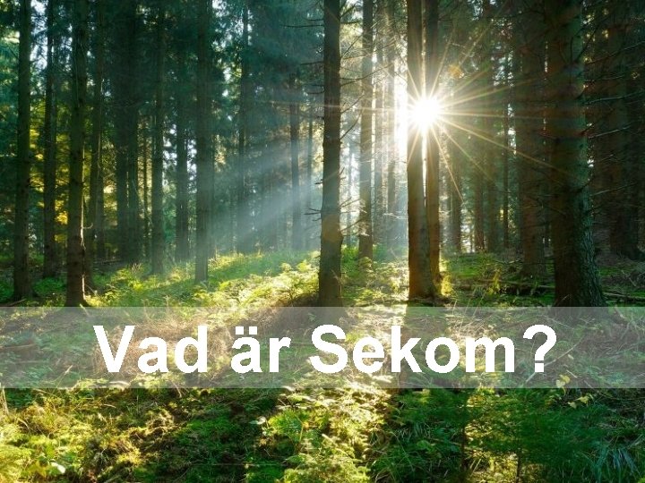 Vad är Sekom? Vad är Sekom?