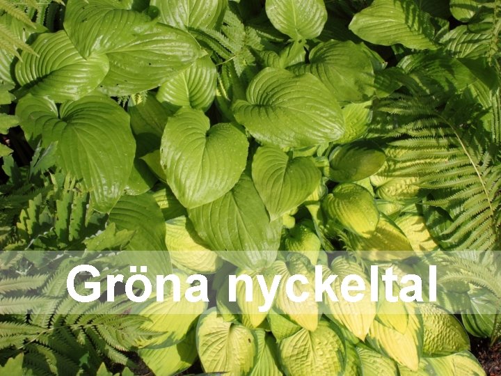 Gröna nyckeltal Gröna nyckeltal