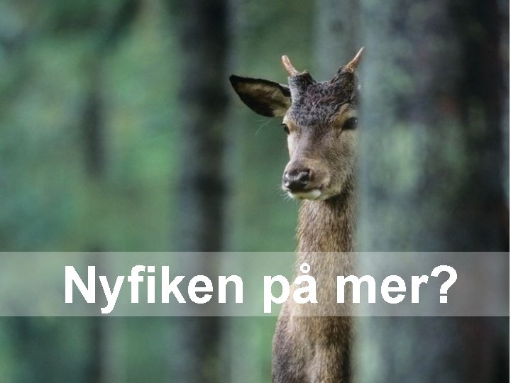 Nyfiken på mer? Nyfiken på mer?