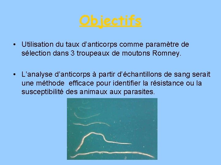 Objectifs • Utilisation du taux d’anticorps comme paramètre de sélection dans 3 troupeaux de
