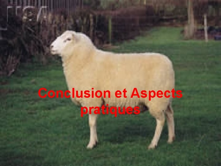 Conclusion et Aspects pratiques 