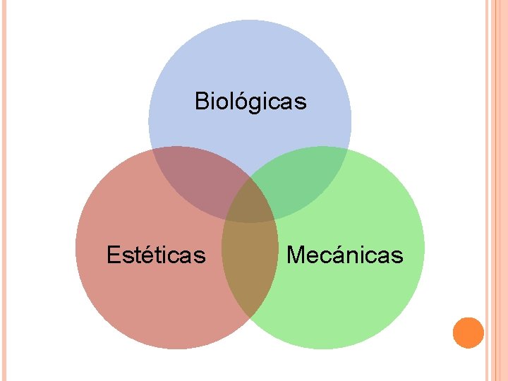 Biológicas Estéticas Mecánicas 