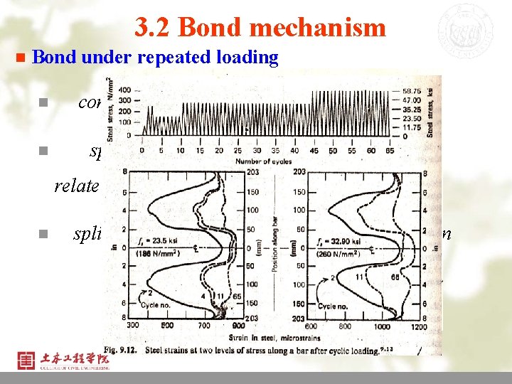 3. 2 Bond mechanism n Bond n n under repeated loading continuous increase of