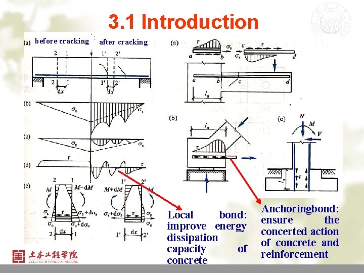 3. 1 Introduction before cracking after cracking Local bond: improve energy dissipation capacity of