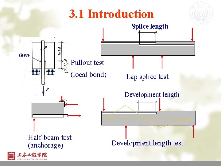 3. 1 Introduction Splice length sleeve Pullout test (local bond) Lap splice test Development