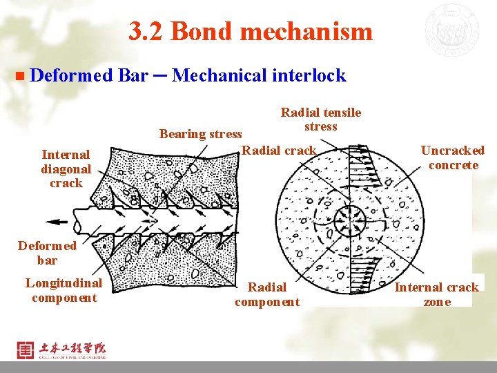 3. 2 Bond mechanism n Deformed Bar ─ Mechanical interlock Radial tensile stress Internal