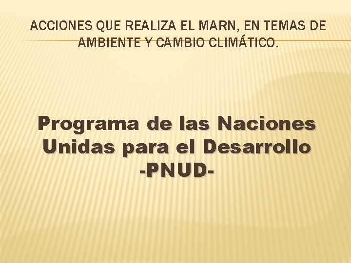 ACCIONES QUE REALIZA EL MARN, EN TEMAS DE AMBIENTE Y CAMBIO CLIMÁTICO. Programa de