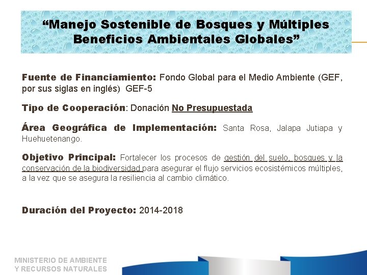 “Manejo Sostenible de Bosques y Múltiples Beneficios Ambientales Globales” Fuente de Financiamiento: Fondo Global