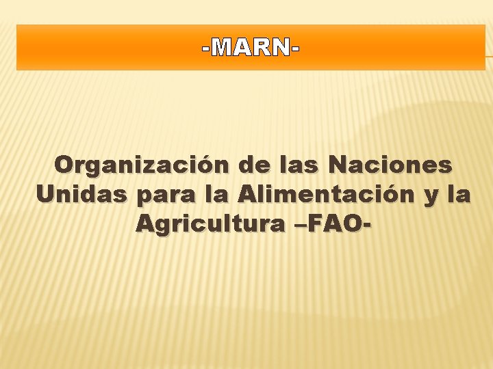 -MARN- Organización de las Naciones Unidas para la Alimentación y la Agricultura –FAO- 