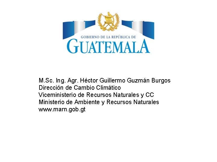 M. Sc. Ing. Agr. Héctor Guillermo Guzmán Burgos Dirección de Cambio Climático Viceministerio de