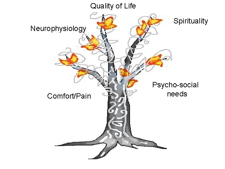 Quality of Life Neurophysiology Comfort/Pain Spirituality Psycho-social needs 