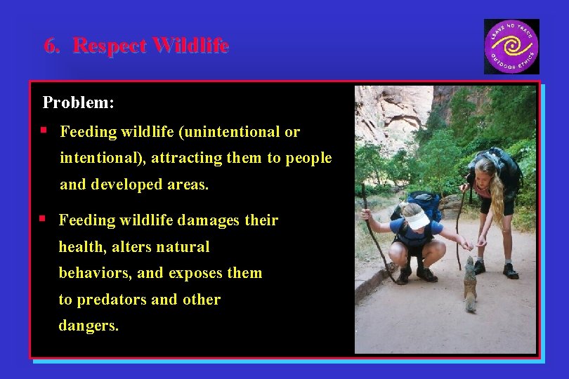 6. Respect Wildlife Problem: § Feeding wildlife (unintentional or intentional), attracting them to people