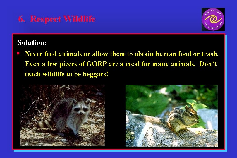 6. Respect Wildlife Solution: § Never feed animals or allow them to obtain human