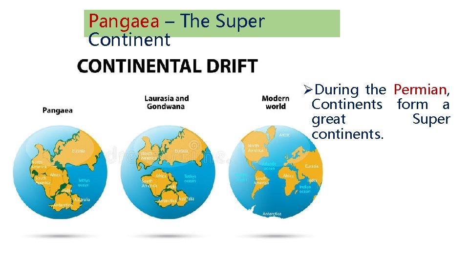 Pangaea – The Super Continent ØDuring the Permian, Continents form a great Super continents.