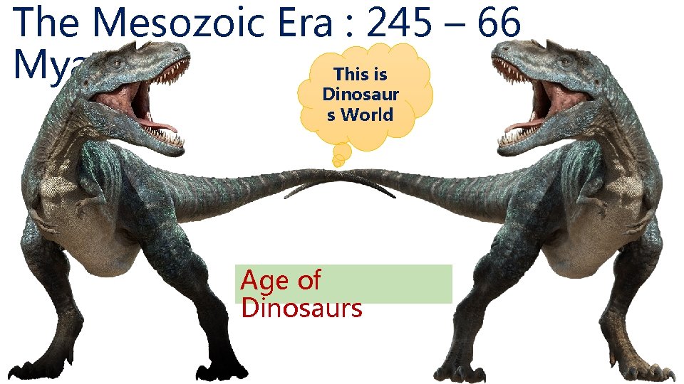The Mesozoic Era : 245 – 66 Mya This is Dinosaur s World Age
