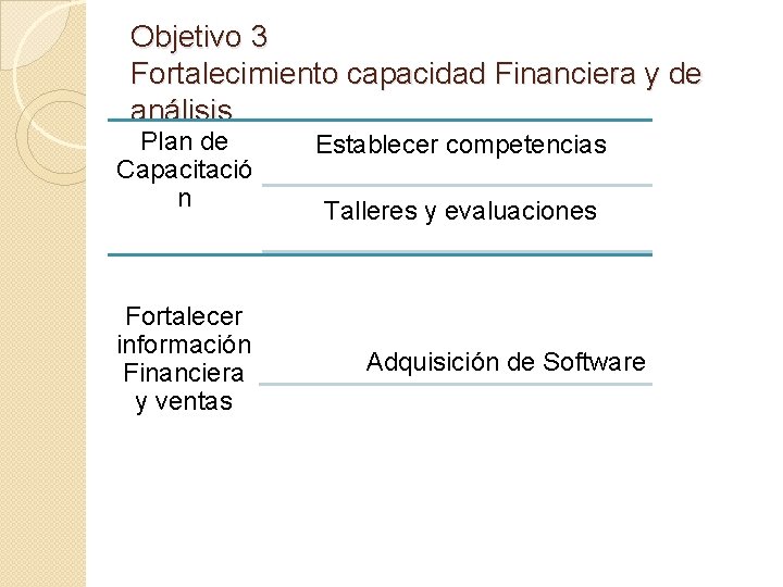 Objetivo 3 Fortalecimiento capacidad Financiera y de análisis Plan de Capacitació n Fortalecer información