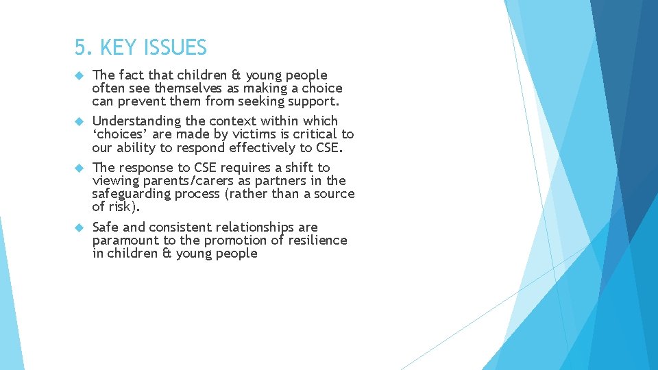 5. KEY ISSUES The fact that children & young people often see themselves as