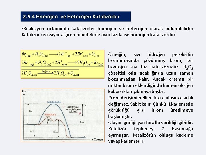 2. 5. 4 Homojen ve Heterojen Katalizörler • Reaksiyon ortamında katalizörler homojen ve heterojen