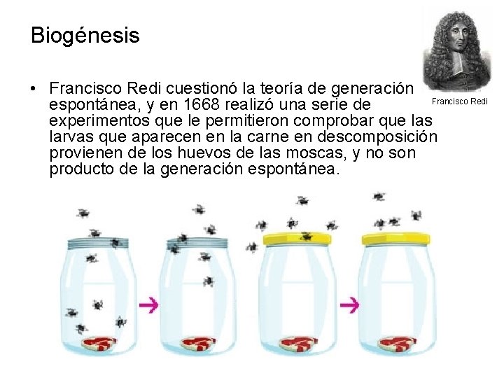 Biogénesis • Francisco Redi cuestionó la teoría de generación Francisco Redi espontánea, y en