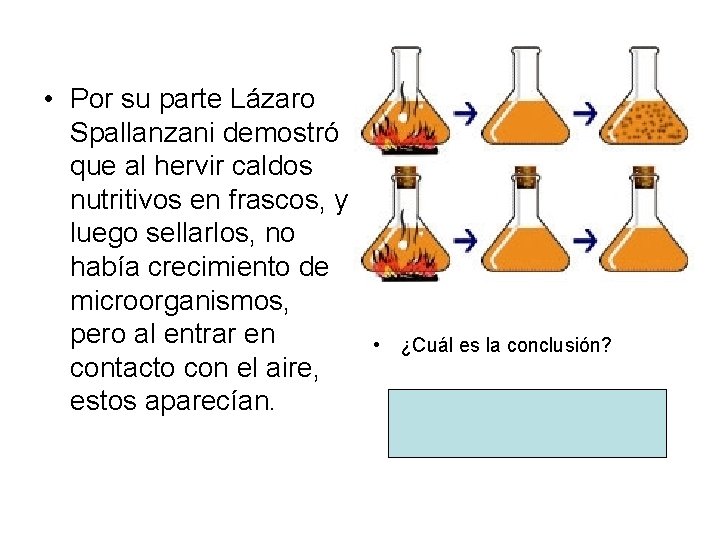  • Por su parte Lázaro Spallanzani demostró que al hervir caldos nutritivos en