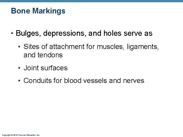 Bone Markings • Bulges, depressions, and holes serve as • Sites of attachment for