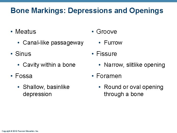Bone Markings: Depressions and Openings • Meatus • Canal-like passageway • Sinus • Cavity
