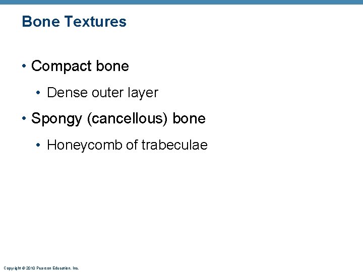 Bone Textures • Compact bone • Dense outer layer • Spongy (cancellous) bone •