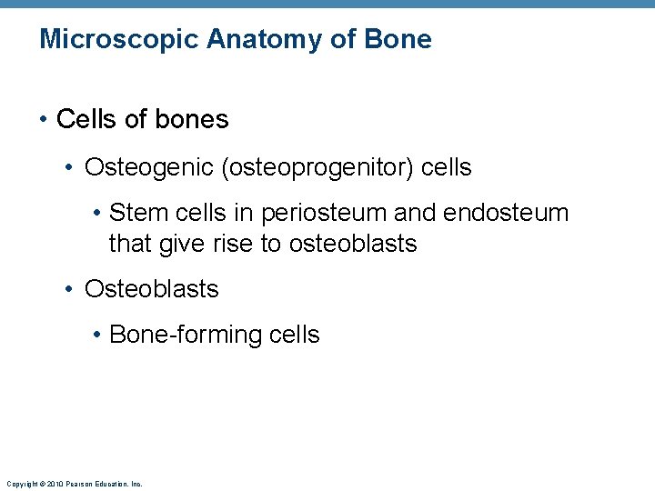 Microscopic Anatomy of Bone • Cells of bones • Osteogenic (osteoprogenitor) cells • Stem