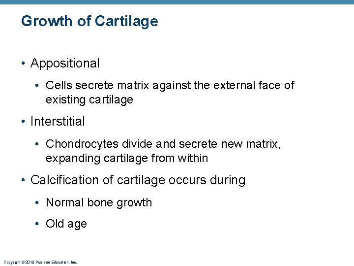 Growth of Cartilage • Appositional • Cells secrete matrix against the external face of