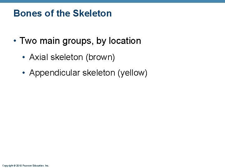 Bones of the Skeleton • Two main groups, by location • Axial skeleton (brown)