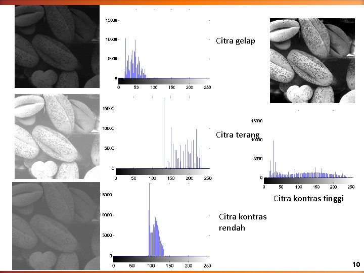 Citra gelap Citra terang Citra kontras tinggi Citra kontras rendah 10 