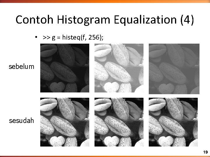 Contoh Histogram Equalization (4) • >> g = histeq(f, 256); sebelum sesudah 19 