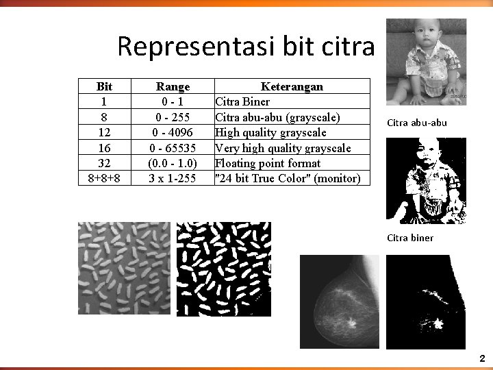 Representasi bit citra Bit 1 8 12 16 32 8+8+8 Range 0 -1 0