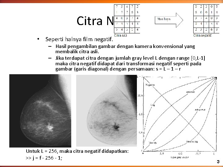 Citra Negatif • Seperti halnya film negatif. – Hasil pengambilan gambar dengan kamera konvensional