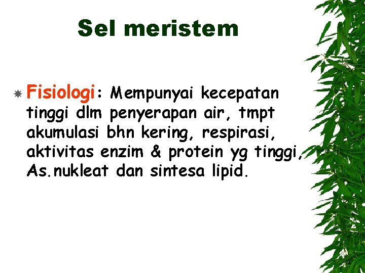 Sel meristem Fisiologi: Mempunyai kecepatan tinggi dlm penyerapan air, tmpt akumulasi bhn kering, respirasi,