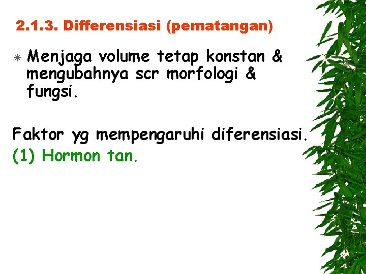 2. 1. 3. Differensiasi (pematangan) Menjaga volume tetap konstan & mengubahnya scr morfologi &