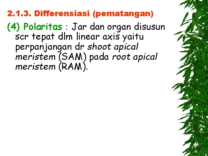 2. 1. 3. Differensiasi (pematangan) (4) Polaritas：Jar dan organ disusun scr tepat dlm linear