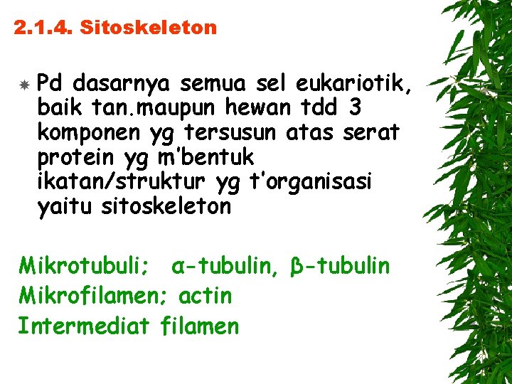 2. 1. 4. Sitoskeleton Pd dasarnya semua sel eukariotik, baik tan. maupun hewan tdd