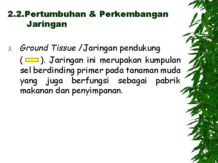 2. 2. Pertumbuhan & Perkembangan Jaringan 3. Ground Tissue /Jaringan pendukung ( ). Jaringan