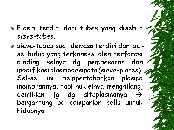  Floem terdiri dari tubes yang disebut sieve-tubes saat dewasa terdiri dari selsel hidup
