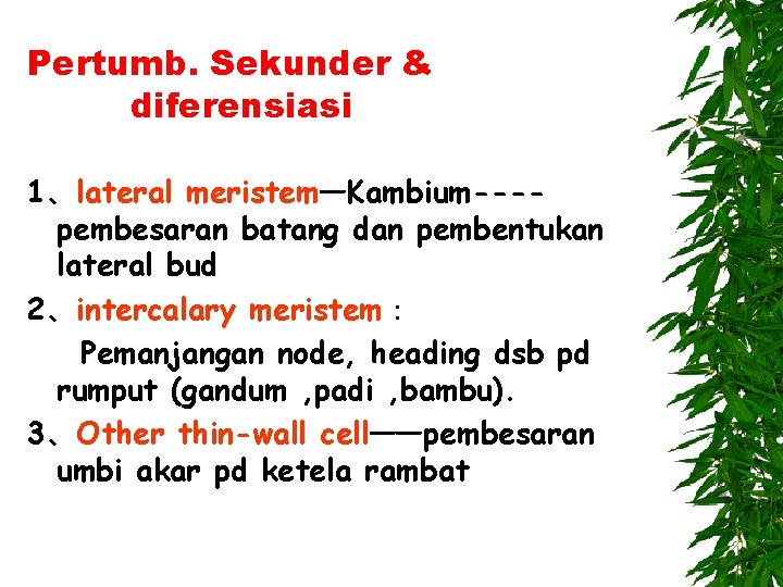 Pertumb. Sekunder & diferensiasi 1、lateral meristem—Kambium---pembesaran batang dan pembentukan lateral bud 2、intercalary meristem： Pemanjangan