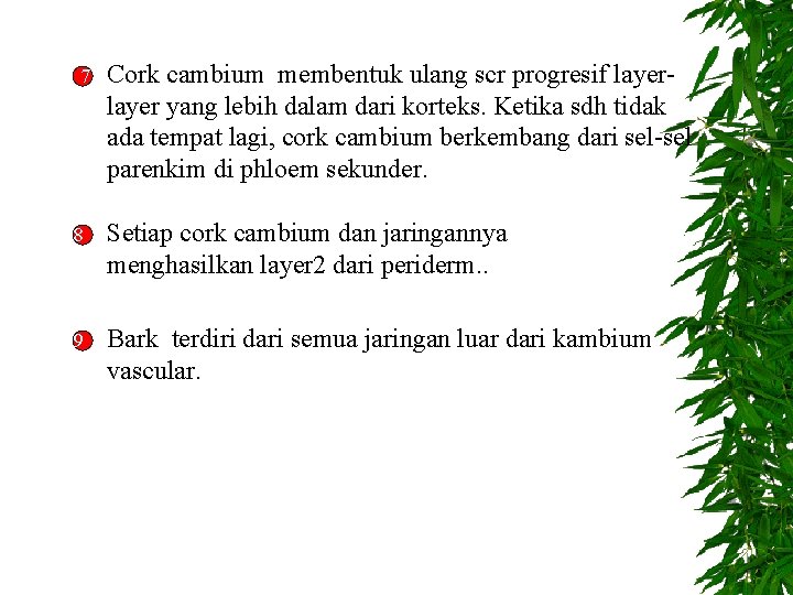 7 Cork cambium membentuk ulang scr progresif layer yang lebih dalam dari korteks. Ketika